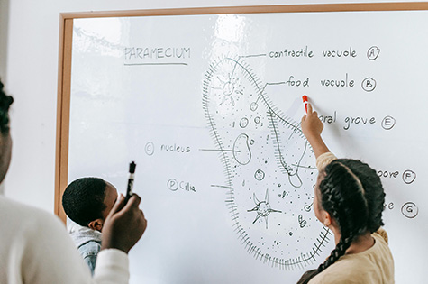 Learners seeking structured digital education